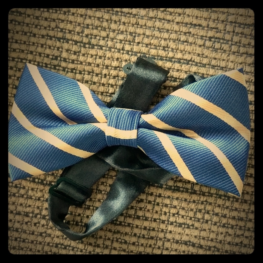 Blue & gold bow tie
